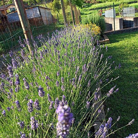 Casa Vacanze La Cicala Pontremoli Kültér fotó