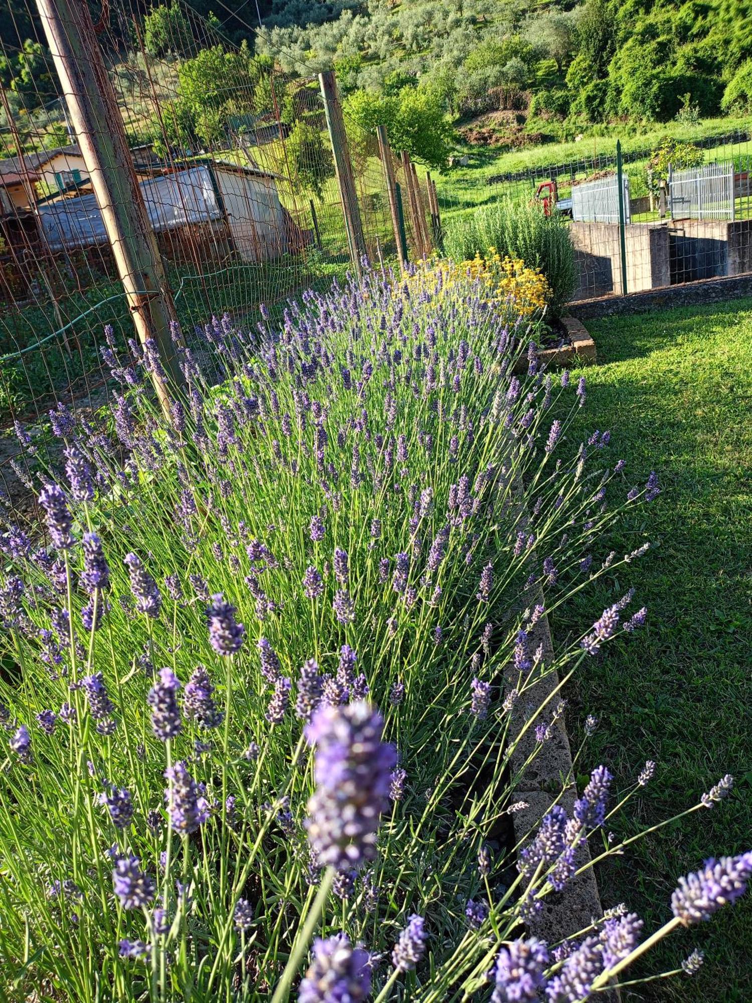 Casa Vacanze La Cicala Pontremoli Kültér fotó